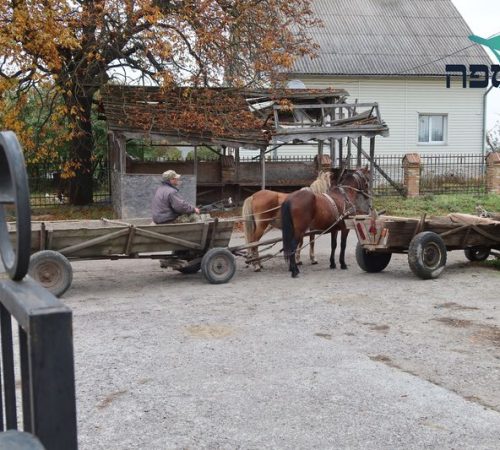 נכספה סוכנות נסיעות לקברי צדיקים (10)