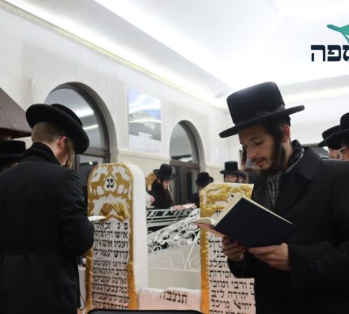 נכספה סוכנות נסיעות לקברי צדיקים (13)