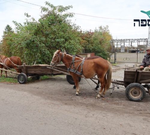 נכספה סוכנות נסיעות לקברי צדיקים (7)
